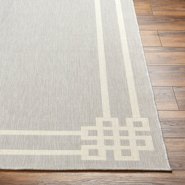 Livabliss Ravello Flatweave Polypropylene Area Rug Turkish Woven Contemporary Indoor Outdoor RVL2340-537