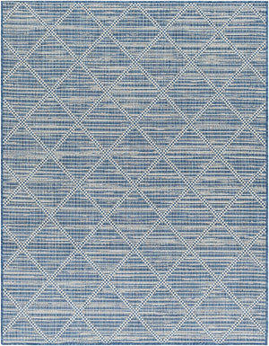 Livabliss Ravello Flatweave Polypropylene Area Rug Scandinavian Modern Indoor Outdoor Patio RVL2363-537