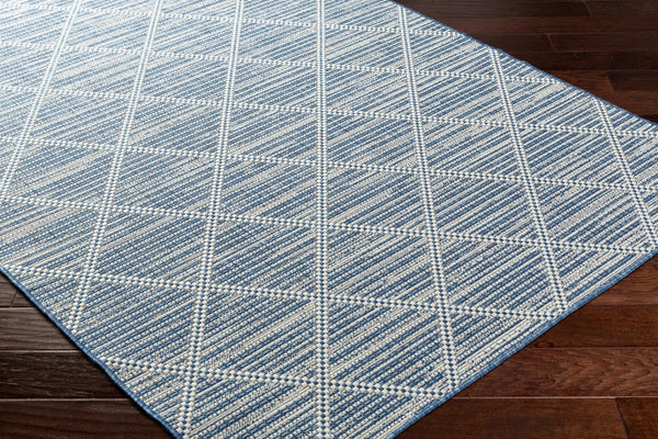 Livabliss Ravello Flatweave Polypropylene Area Rug Scandinavian Modern Indoor Outdoor Patio RVL2363-537