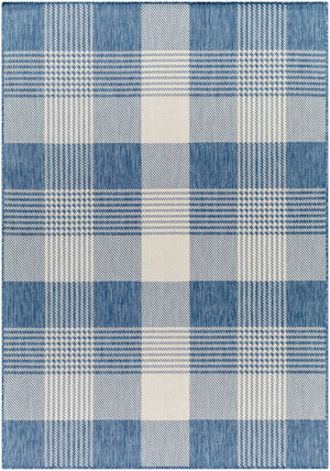 Ravello RVL-2369 7'10" x 10' Machine Woven Rug RVL2369-71010 Livabliss Surya