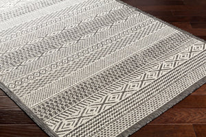 Livabliss Ravello Flatweave Polypropylene Indoor Outdoor Rug Woven in Turkey for Entryways RVL2374-23