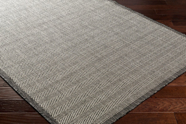 Livabliss Ravello Flatweave Polypropylene Area Rug Modern Minimalist Indoor Outdoor Pattern RVL2384-537