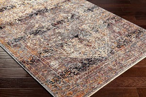 Livabliss Arya Traditional Fringe Area Rug Polyester Viscose Blend Medium Pile Living Room RYA2300-8101210