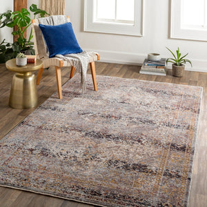 Livabliss Arya Traditional Fringe Area Rug Polyester Viscose Blend Medium Pile Living Room RYA2300-8101210