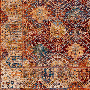 Livabliss Arya Turkish Area Rug Polyester Viscose Blend with Fringe for Living Dining Rooms RYA2303-8101210