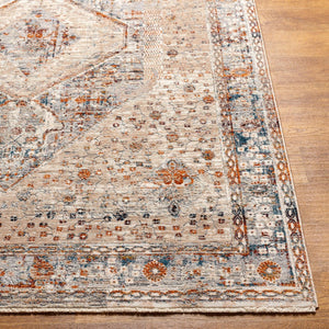 Livabliss Arya Traditional Fringe Accent Rug Polyester Viscose Blend for Entryways and Bedside Medium Gray, Bl 7'10" x 10' RYA2305-71010