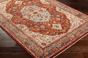 Livabliss Arya Machine Woven Polyester Viscose Accent Rug with Lustrous Sheen for Entryways RYA2307-233