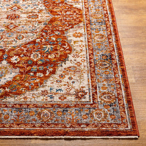 Livabliss Arya Machine Woven Polyester Viscose Accent Rug with Lustrous Sheen for Entryways RYA2307-233