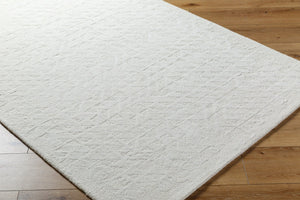 Livabliss Rize Handmade Wool Accent Rug Soft Medium Pile for Entryway or Bathroom Warmth Ivory, Pearl 2' x 3' RZE2310-23