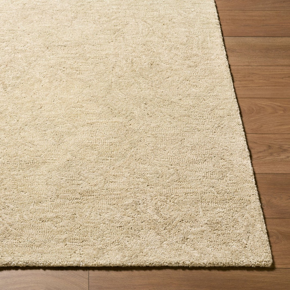 Livabliss The Neutral Edit Bohemian Wool Area Rug Hand Tufted in India for Eclectic Spaces Beige, Sandsto 2' x 3' RZNE2302-23
