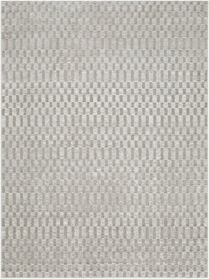 Livabliss The Studio Edit Art Deco Geometric Polypropylene Accent Rug for Entryways and Hallways Cream, Light Gr 9' x 12' RZSE2325-912
