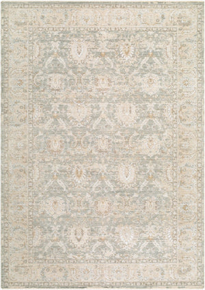 Livabliss The Vintage Edit Distressed Traditional Area Rug Woven in Turkey for Living Rooms Seafoam, Cream 7'10" x 10'2" RZVE2305-710102