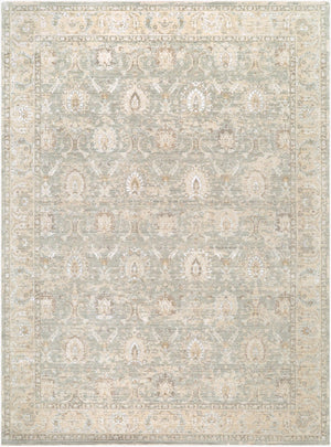 Livabliss The Vintage Edit Distressed Traditional Area Rug Woven in Turkey for Living Rooms Seafoam, Cream 9' x 12'2" RZVE2305-9122