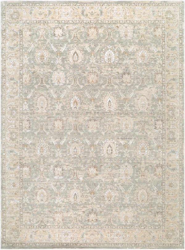 Livabliss The Vintage Edit Distressed Traditional Area Rug Woven in Turkey for Living Rooms Seafoam, Cream 9' x 12'2" RZVE2305-9122