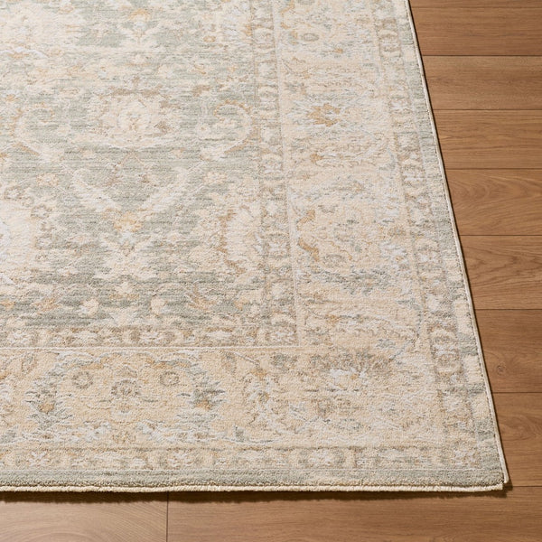 Livabliss The Vintage Edit Distressed Traditional Area Rug Woven in Turkey for Living Rooms Seafoam, Cream 7'10" x 10'2" RZVE2305-710102