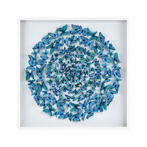 Blue Butterfly Dimensional Wall Art - Blue S0036-11999 Elk Home