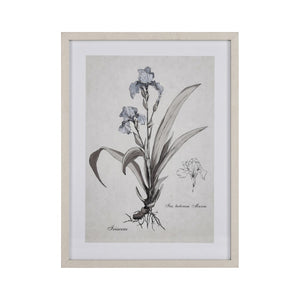 Iris Botanic Framed Wall Art S0056-10633 Elk Home