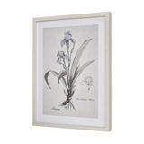 Iris Botanic Framed Wall Art S0056-10633 Elk Home