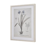 Daffodil Botanic Framed Wall Art S0056-10634 Elk Home