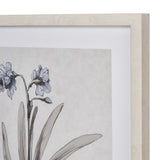 Daffodil Botanic Framed Wall Art S0056-10634 Elk Home