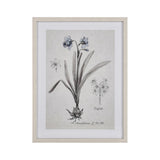 Daffodil Botanic Framed Wall Art