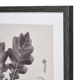 Oak II Botanic Framed Wall Art S0056-10636 Elk Home