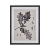 Oak II Botanic Framed Wall Art S0056-10636 Elk Home