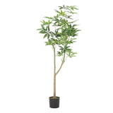 Christopher Knight Home® - Noble House - Monadnock 6' X 3' Artificial Money Tree, Green