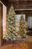 Park Hill Blue Spruce Slim Christmas Tree, 7.5' XPQ82170 Park Hill