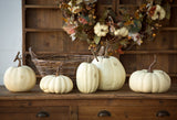 Full Moon Pumpkin Collection, Set of 5 FBY81037 Park Hill