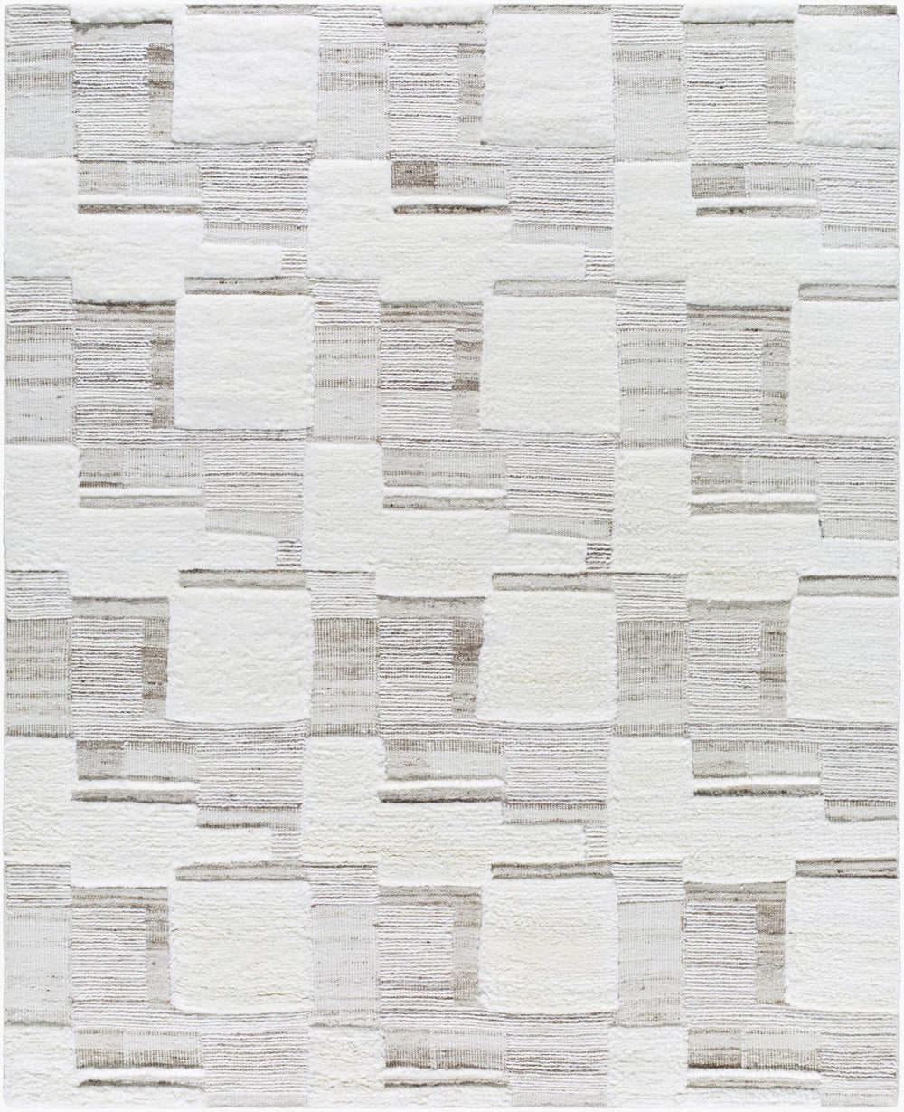 Surya Sardis Handmade 10' X 14' Mid-century Modern Rug – Luxurious New Zealand Wool, High Pile Comfort Ivory Nz Wool Sad2300-69