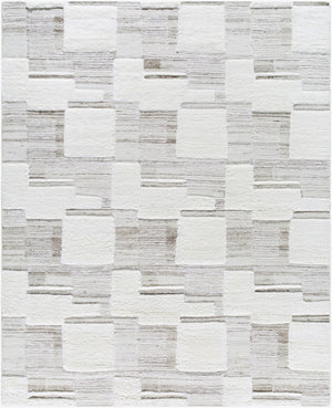 Surya Sardis Handmade 10' X 14' Mid-century Modern Rug – Luxurious New Zealand Wool, High Pile Comfort Ivory Nz Wool Sad2300-69