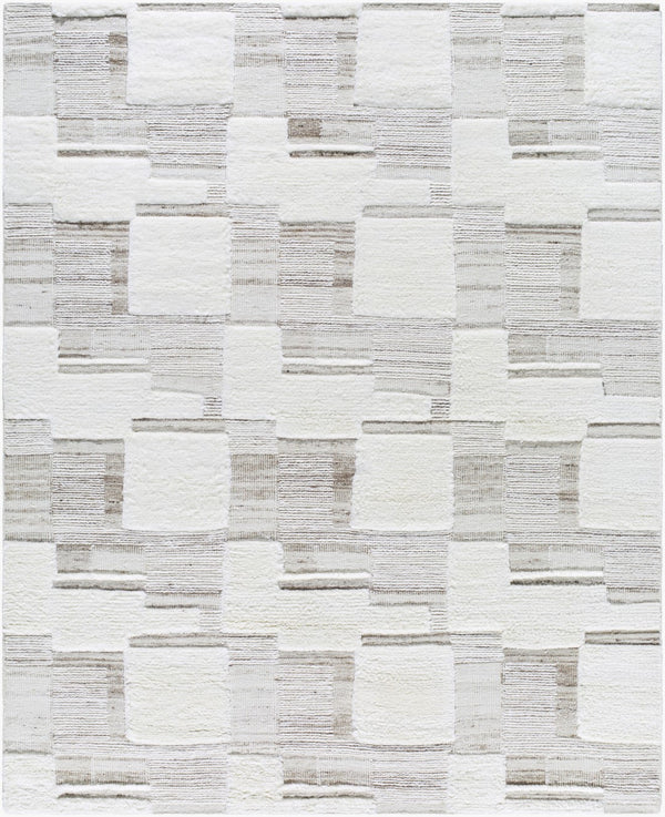 Surya Sardis Handmade 10' X 14' Mid-century Modern Rug – Luxurious New Zealand Wool, High Pile Comfort Ivory Nz Wool Sad2300-69