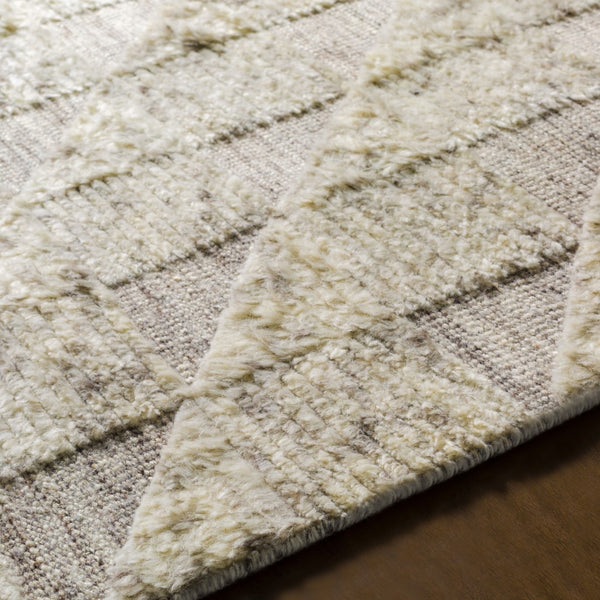 Surya Sahara Hand-knotted Wool Rug 2' X 3' - Bohemian Fringe Design For Global Style & Comfort Dark Brown Wool Sah2300-46