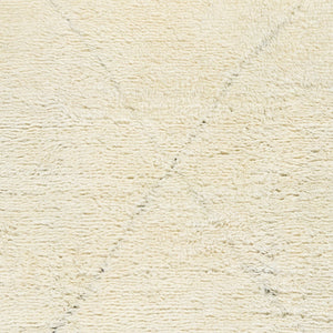 Surya Sahara Hand-knotted Wool Rug 2' X 3' - Bohemian Fringe Design For Global Style & Comfort Cream Wool Sah2302-810