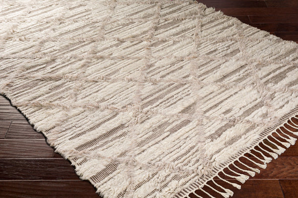 Surya Sahara Hand-knotted Wool Rug 2' X 3' - Bohemian Fringe Design For Global Style & Comfort Light Beige Wool Sah2307-46