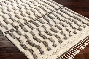 Surya Sahara Hand-knotted Wool Rug 2' X 3' - Bohemian Fringe Design For Global Style & Comfort Charcoal Wool Sah2310-46