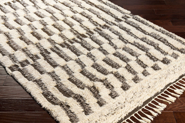 Surya Sahara Hand-knotted Wool Rug 2' X 3' - Bohemian Fringe Design For Global Style & Comfort Charcoal Wool Sah2310-46