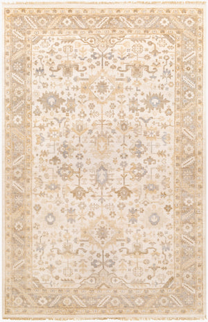 Surya Sabine Handmade 6' X 9' Luxurious Viscose Rug - Stylish Updated Traditional Design With Fringe Detail Beige Viscose Sbn1000-69