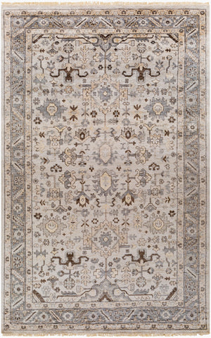 Surya Sabine Handmade 6' X 9' Luxurious Viscose Rug - Stylish Updated Traditional Design With Fringe Detail Light Gray Viscose Sbn1001-23