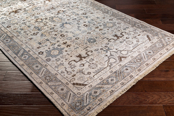 Surya Sabine Handmade 6' X 9' Luxurious Viscose Rug - Stylish Updated Traditional Design With Fringe Detail Light Gray Viscose Sbn1001-23