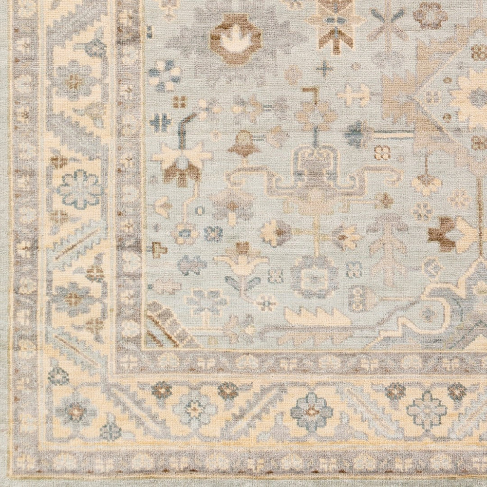 Surya Sabine Handmade 6' X 9' Luxurious Viscose Rug - Stylish Updated Traditional Design With Fringe Detail Ice Blue Viscose Sbn1002-23