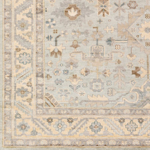 Surya Sabine Handmade 6' X 9' Luxurious Viscose Rug - Stylish Updated Traditional Design With Fringe Detail Ice Blue Viscose Sbn1002-23