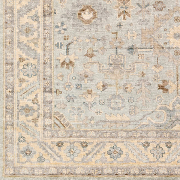 Surya Sabine Handmade 6' X 9' Luxurious Viscose Rug - Stylish Updated Traditional Design With Fringe Detail Ice Blue Viscose Sbn1002-23