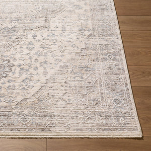 Livabliss Seclusion Traditional Fringe Area Rug Turkey Woven Polyester for High Traffic Rooms Gray, Cream 5' x 7'5" SCN2302-575
