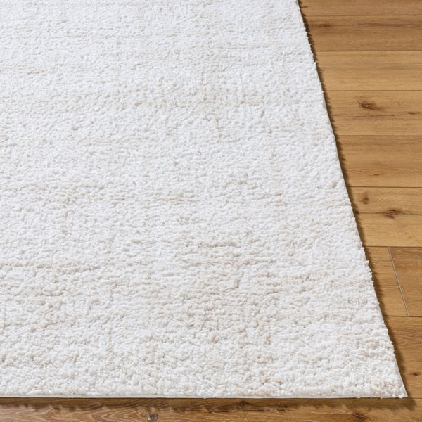 Livabliss Sacramento Shag Plush Polyester Area Rug Machine Woven for Living Room or Bedroom White, Oatmeal 7'10" x 10' SCS2300-71010