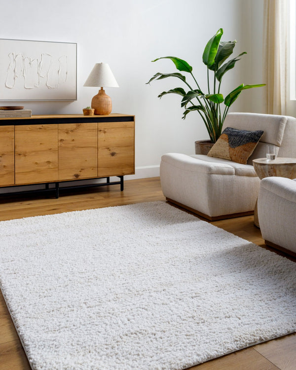 Livabliss Sacramento Shag Area Rug Plush Polyester Pile Mid-century Modern Living Room Accent White, Oatmeal 5'3" x 7' SCS2301-537