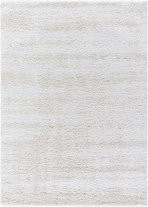 Livabliss Sacramento Shag Area Rug Plush Polyester Pile Mid-century Modern Living Room Accent White, Oatmeal 5'3" x 7' SCS2301-537