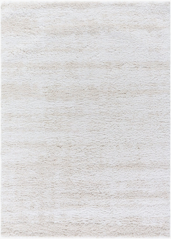 Livabliss Sacramento Shag Area Rug Plush Polyester Pile Mid-century Modern Living Room Accent White, Oatmeal 5'3" x 7' SCS2301-537