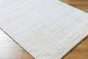 Livabliss Sacramento Shag Area Rug Plush Polyester Pile Mid-century Modern Living Room Accent White, Oatmeal 5'3" x 7' SCS2301-537